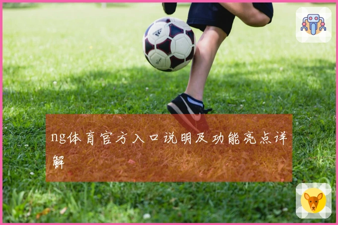 ng体育官方入口说明及功能亮点详解