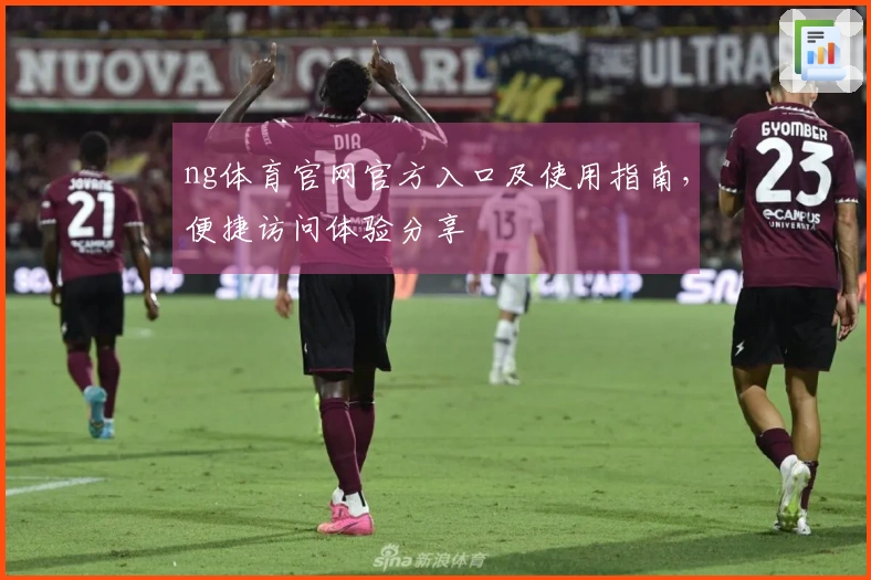 ng体育官网官方入口及使用指南，便捷访问体验分享