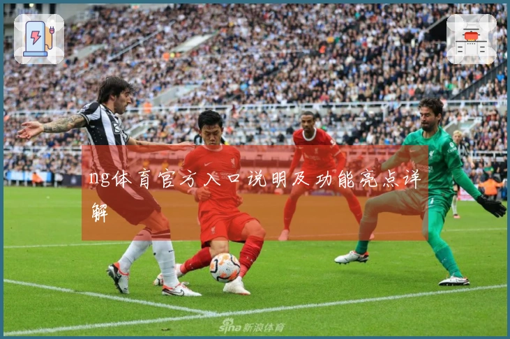 ng体育官方入口说明及功能亮点详解