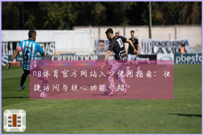 ng体育官方网站入口使用指南：快捷访问与核心功能介绍